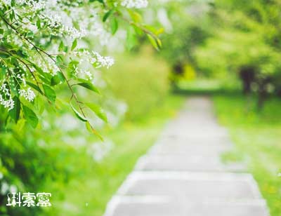 ���˹��Z�ġ��އ�Ȯ�����Ǖr�������˼�ˣ�