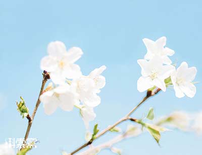 ���q282�����ļ�ˎ��Ŕ�������ɱ��P3.55�|Ԫ