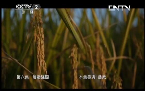 �o(j��)�Ƭ�����(gu��)��������6�������쏊(qi��ng)��(gu��)