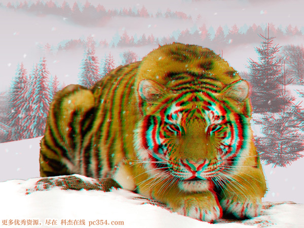 �t�{3D���R��ʾ�DƬ3D�DƬ1