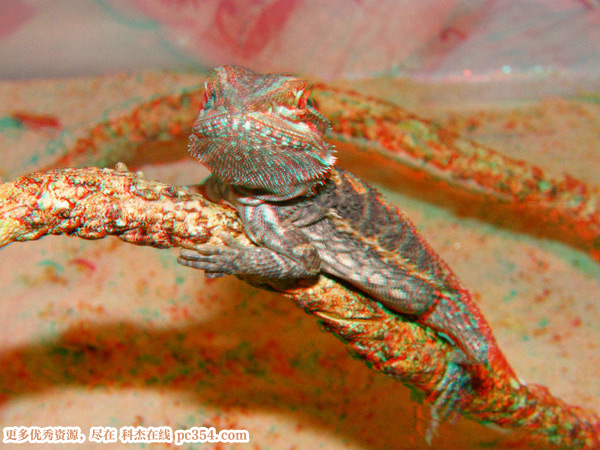 �t�{3D���R��ʾ�DƬ3D�DƬ1