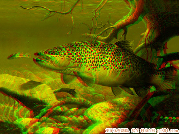 �t�{3D���R��ʾ�DƬ3D�DƬ1