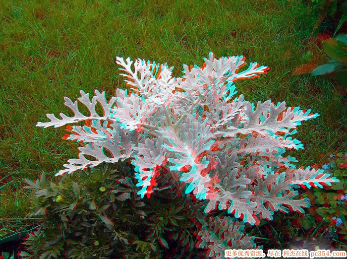 �t�{3D���R��ʾ�DƬ3D�DƬ7