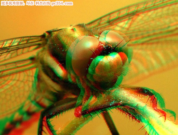 �t�{3D���R��ʾ�DƬ3D�DƬ9