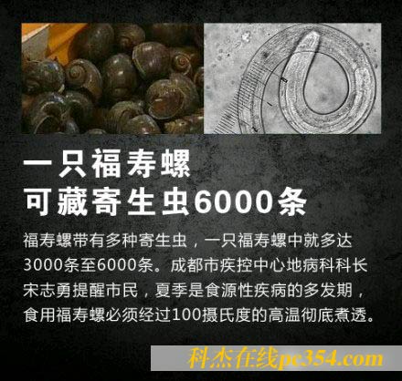 �����ݿɲ�6000�l�x