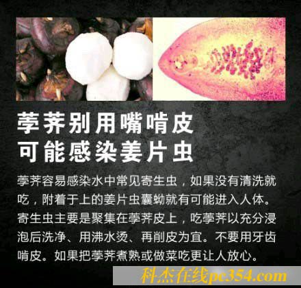 ݩ�jƤ���н�Ƭ�x���e�����Ƥ