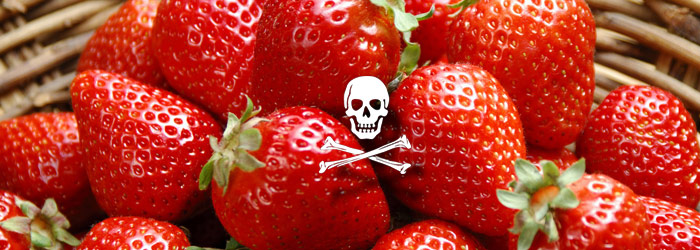 人民日報：“吃草莓致癌”說不靠譜